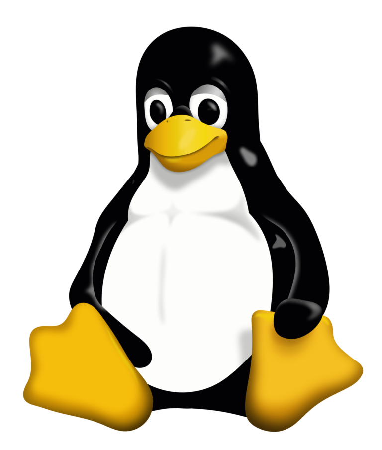 Mehr über den Artikel erfahren Linux installieren – Wenn ja, welches und wie?