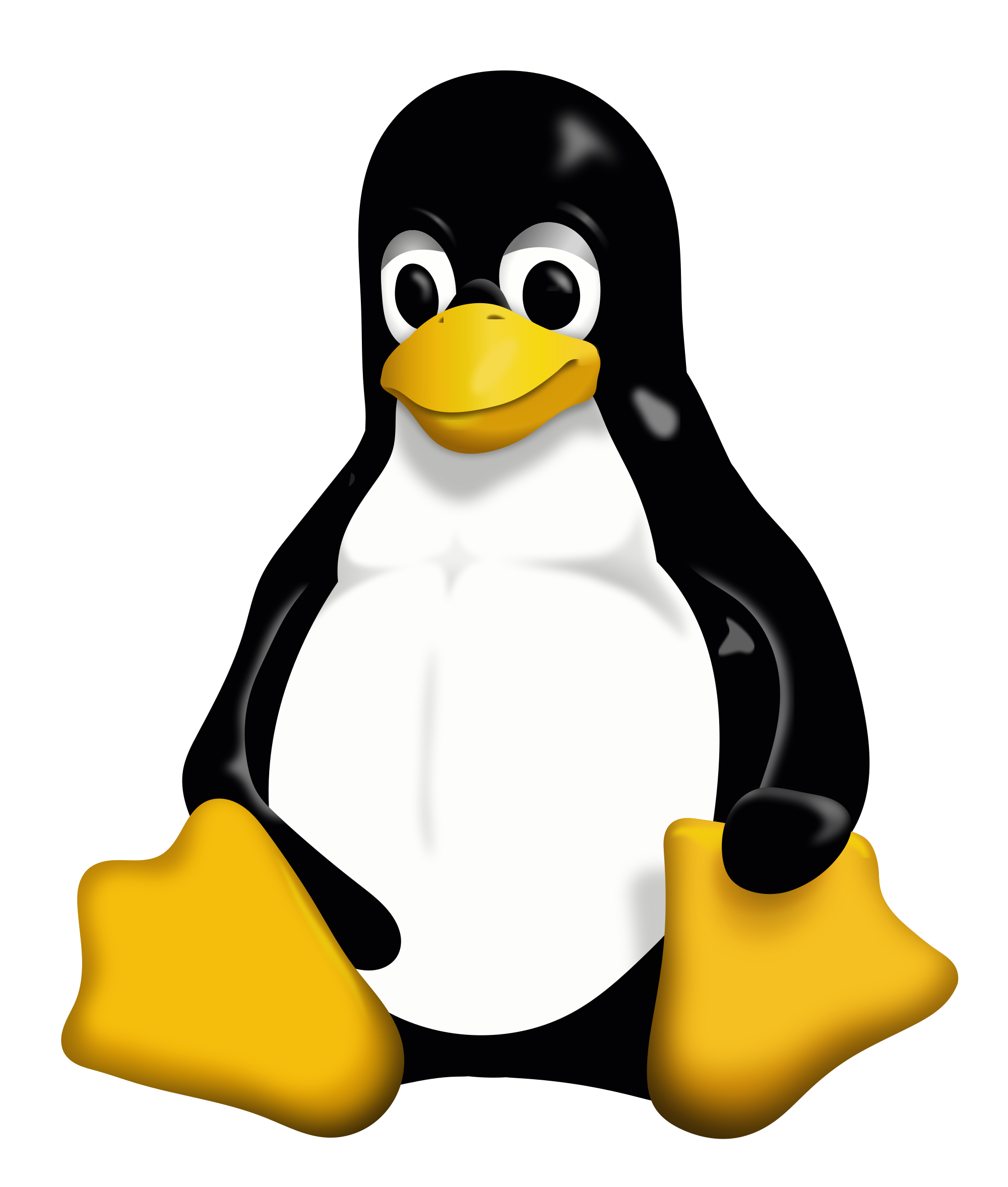 Read more about the article Linux installieren – Wenn ja, welches und wie?